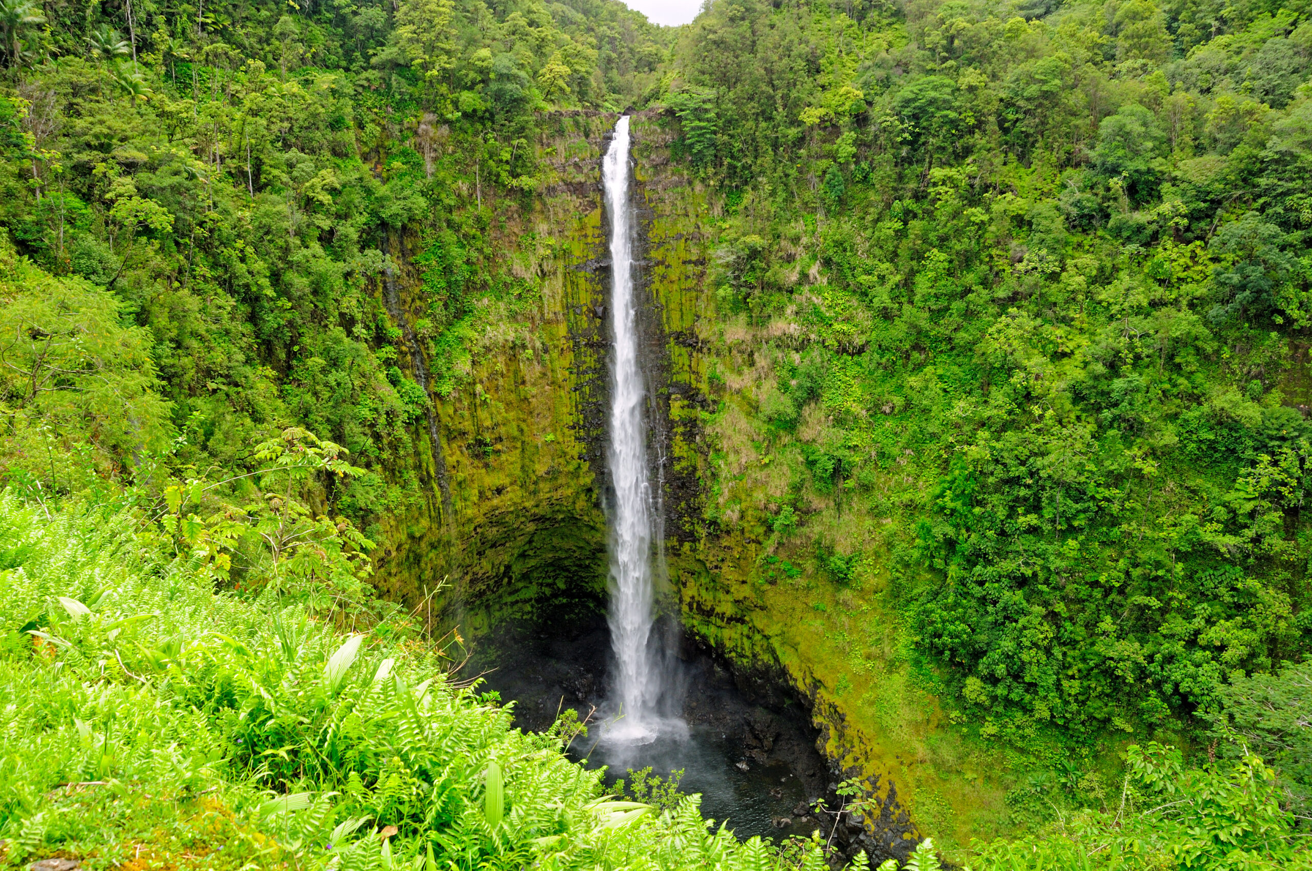 Romantic Vacation on the Big Island of Hawaii - Akaka Falls