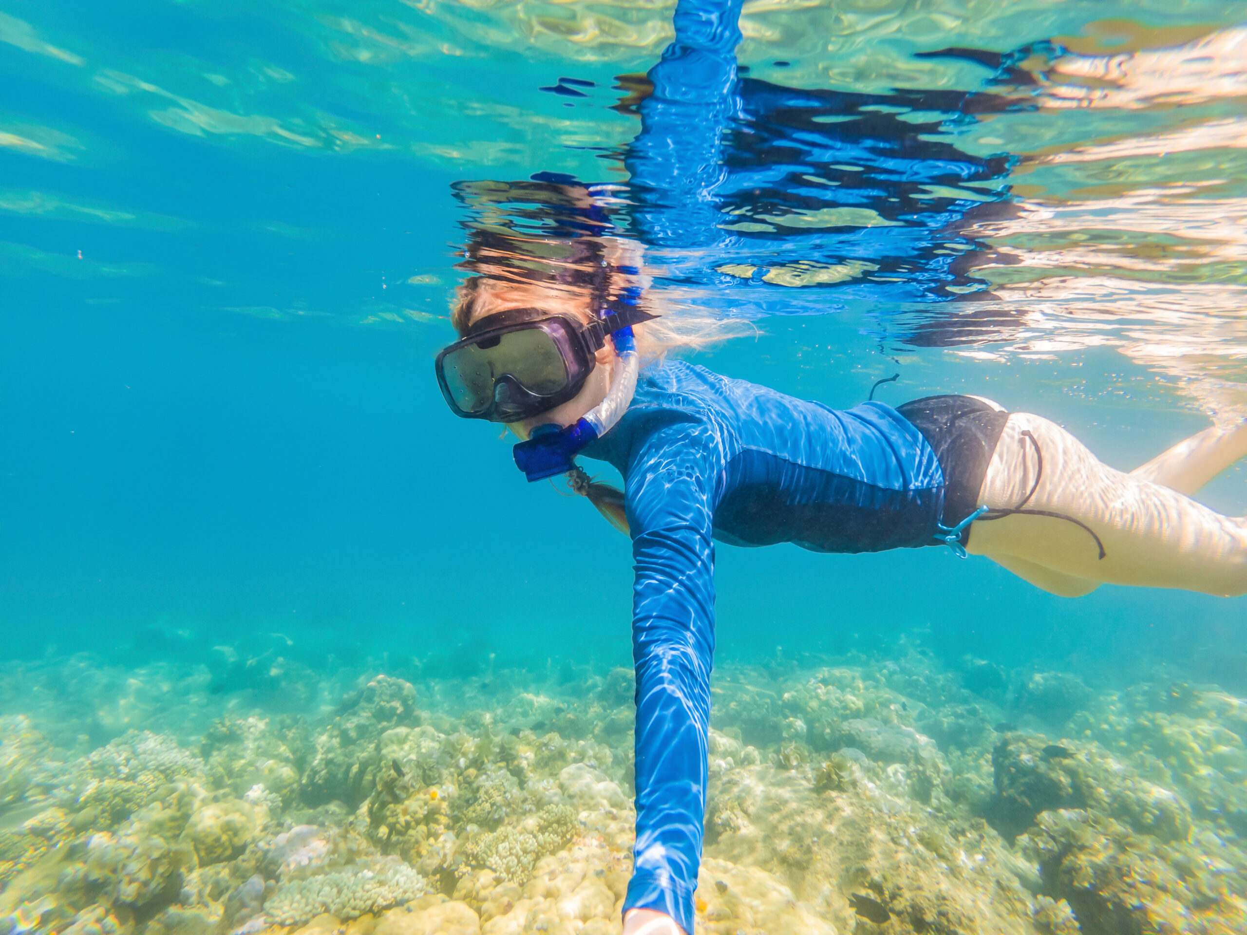Best Excursions in Puerto Vallarta for Your Next Vacation - Snorkeling