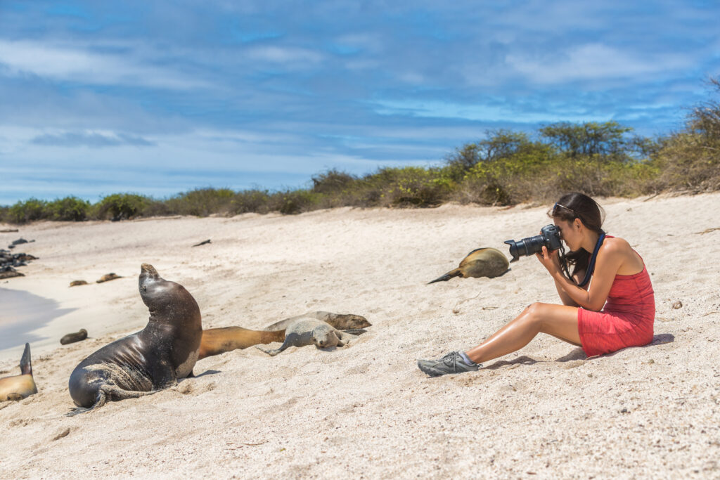 Choosing the Best River Cruise: A Guide to Navigating the World's Best River Cruise Lines - Galapagos Sea Lions